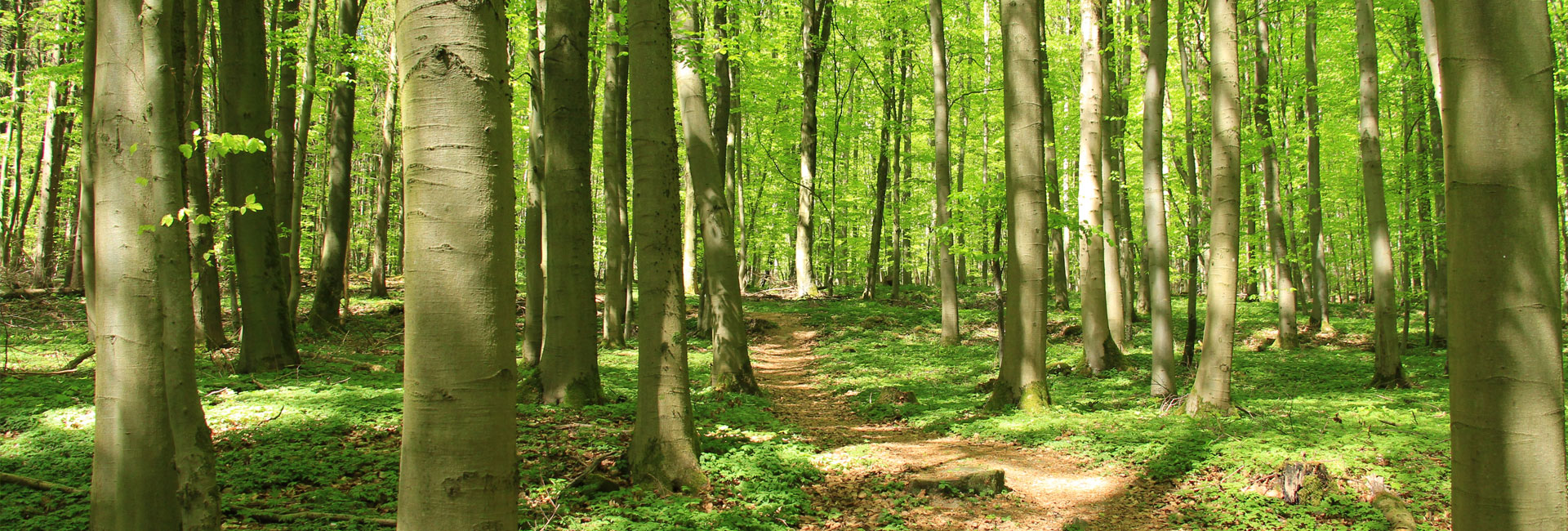 Wegbegleitung